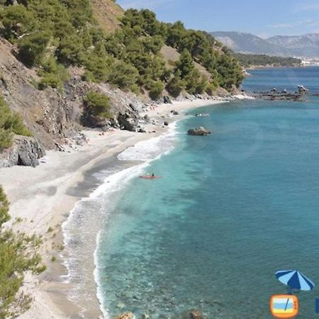 Loft Climatise "La Pinede", 50 M2, Tres Calme, 5 Mn A Pied Des Plages, Lit King Size La Seyne-sur-Mer Exteriör bild