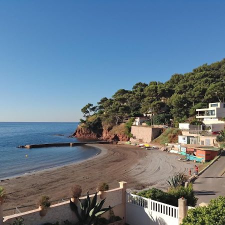 Loft Climatise "La Pinede", 50 M2, Tres Calme, 5 Mn A Pied Des Plages, Lit King Size La Seyne-sur-Mer Exteriör bild