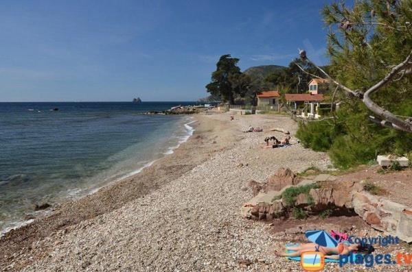 Loft Climatise "La Pinede", 50 M2, Tres Calme, 5 Mn A Pied Des Plages, Lit King Size La Seyne-sur-Mer Exteriör bild