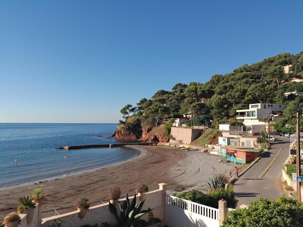 Loft Climatise "La Pinede", 50 M2, Tres Calme, 5 Mn A Pied Des Plages, Lit King Size La Seyne-sur-Mer Exteriör bild